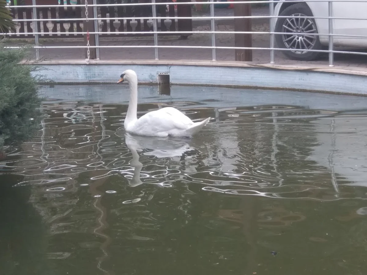 Serander Park - Görsel 5