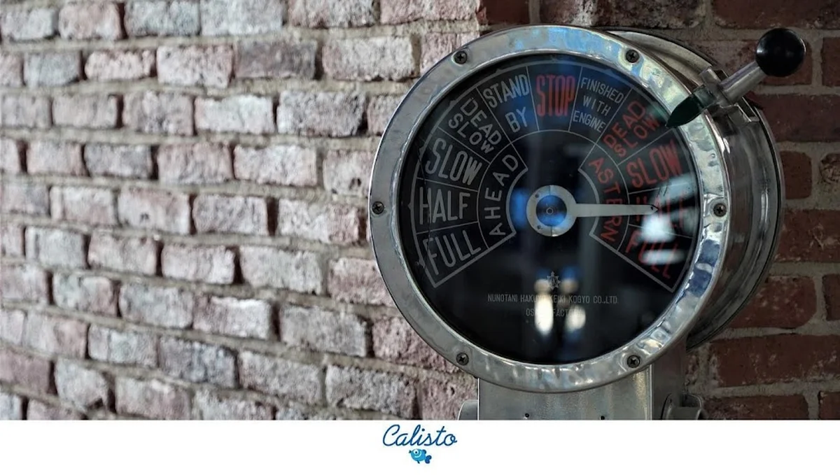 CALİSTO BALIK - Görsel 1