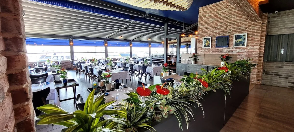 CALİSTO BALIK - Görsel 6