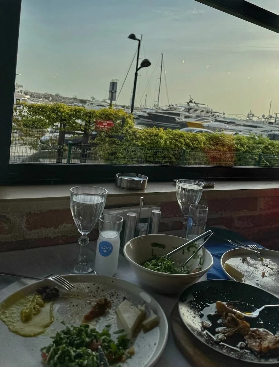 CALİSTO BALIK - Görsel 9