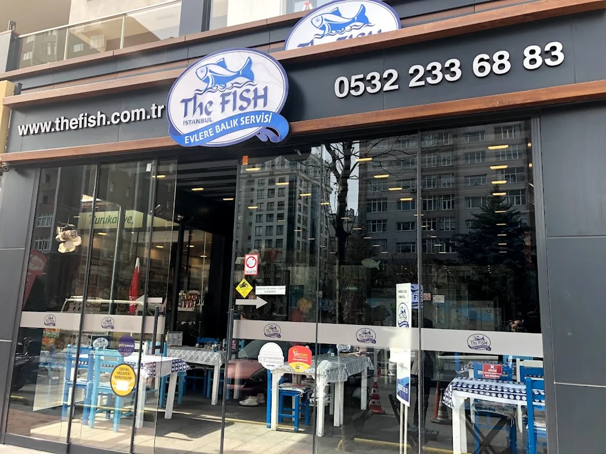 The FİSH - Görsel 2