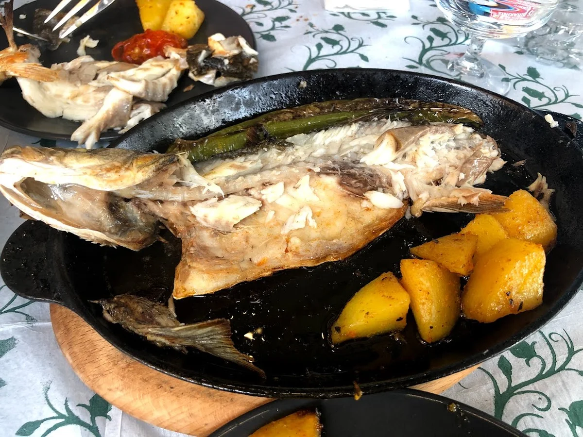 The FİSH - Görsel 3