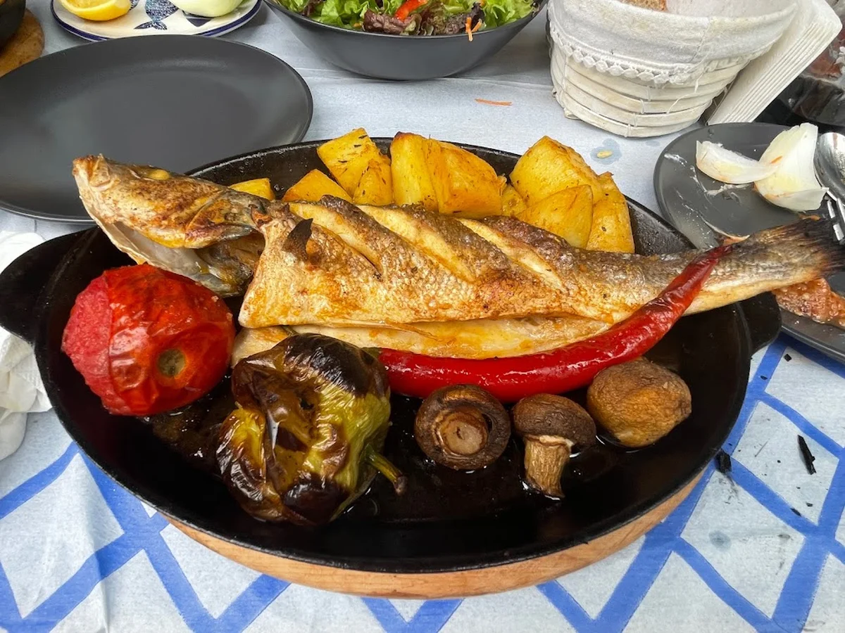 The FİSH - Görsel 7