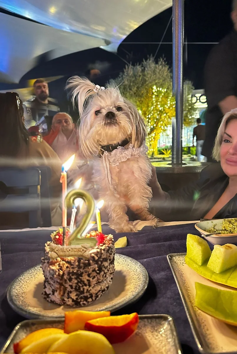 Can samimiy et - Görsel 1