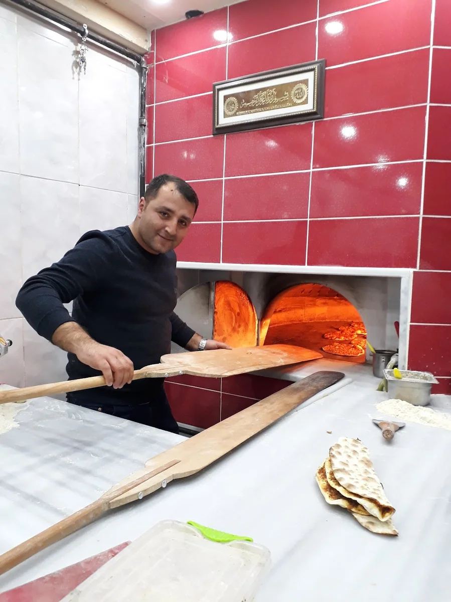 şanlıurfa gül - Görsel 8