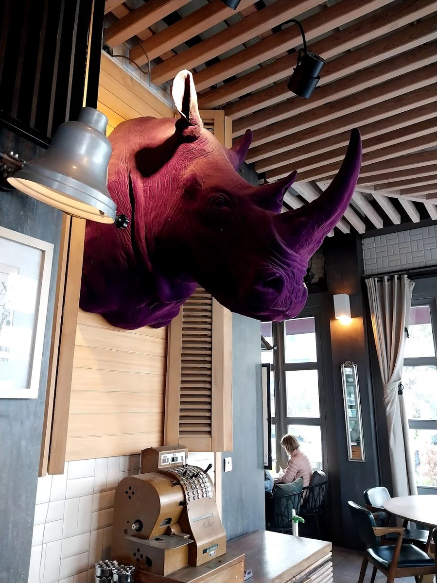 Kim bilir - Görsel 2