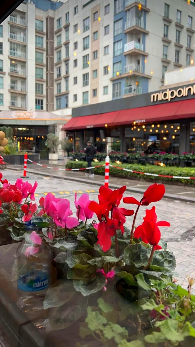 Midpoint Akbatı - Görsel 5