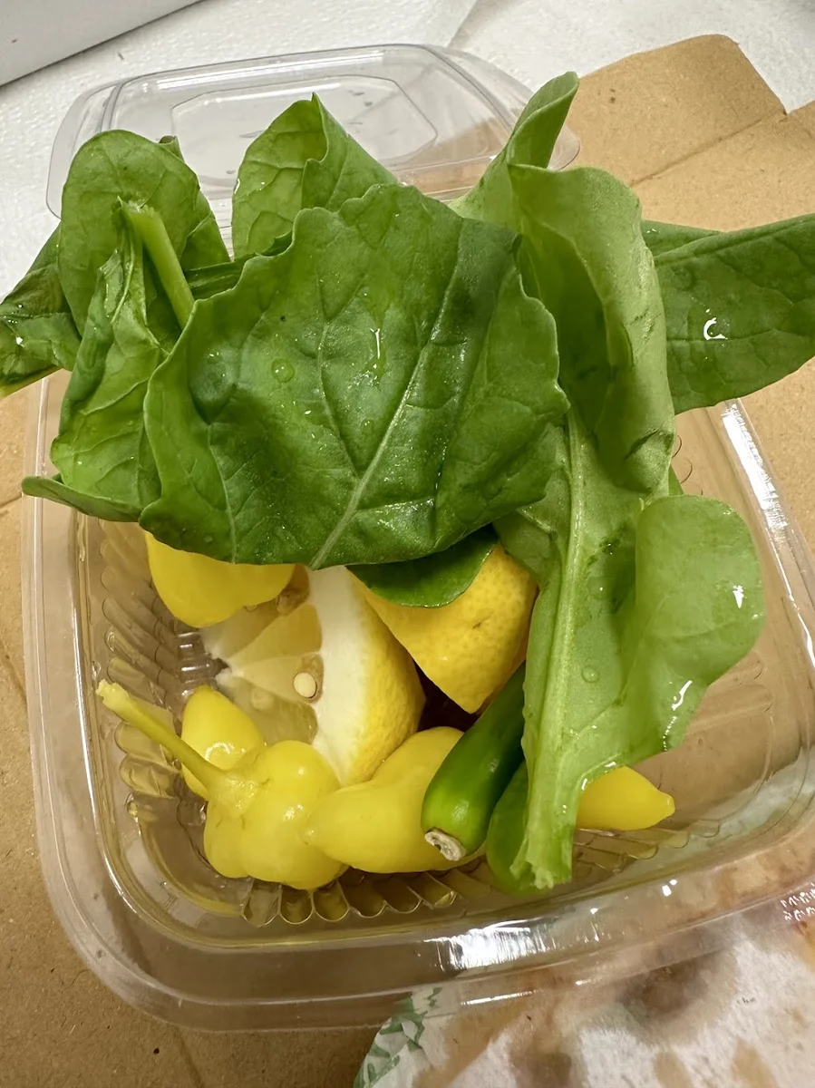 Mersin Yaprak Tantuni - Görsel 5