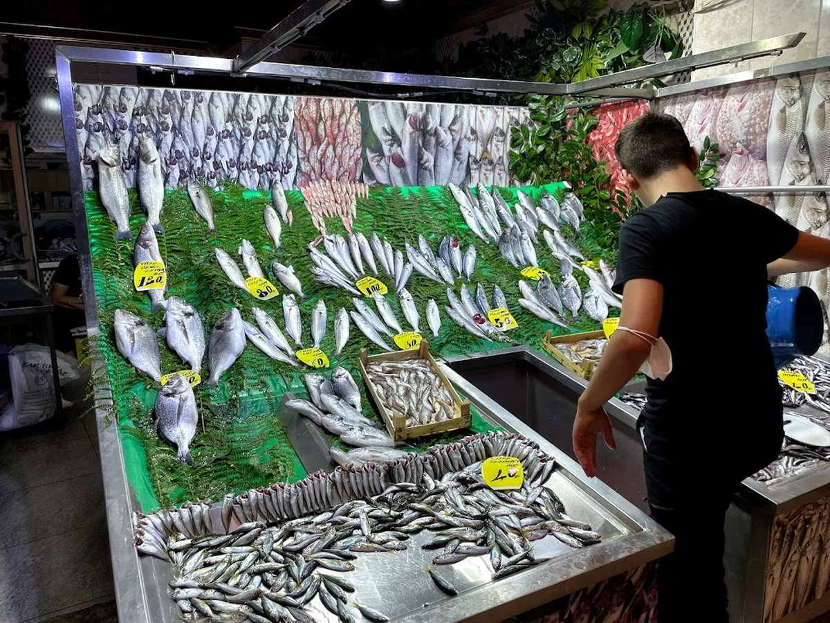 bahçeşehir balık evi - Görsel 2