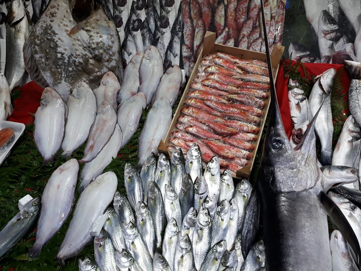 bahçeşehir balık evi - Görsel 4