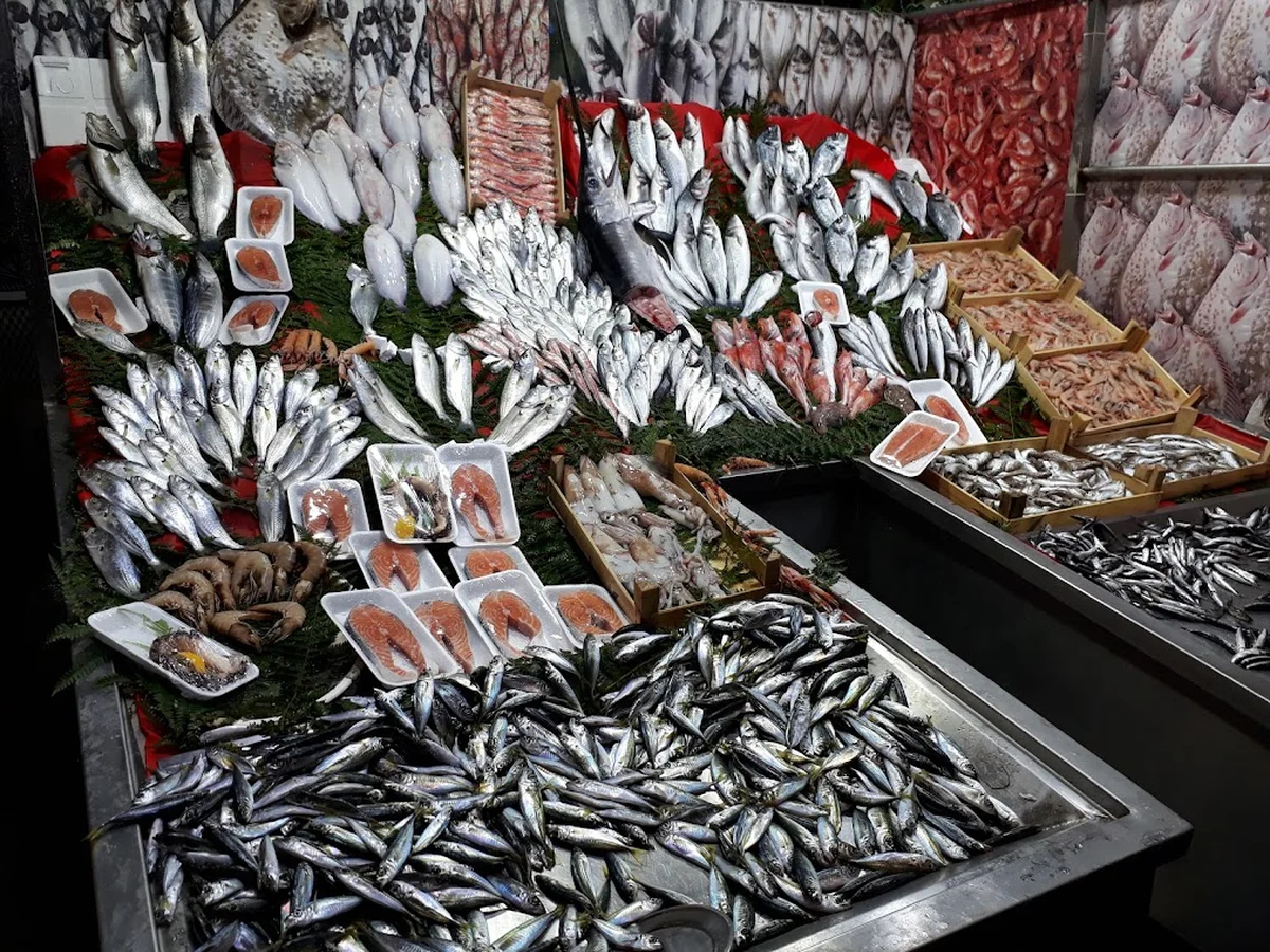 bahçeşehir balık evi - Görsel 5