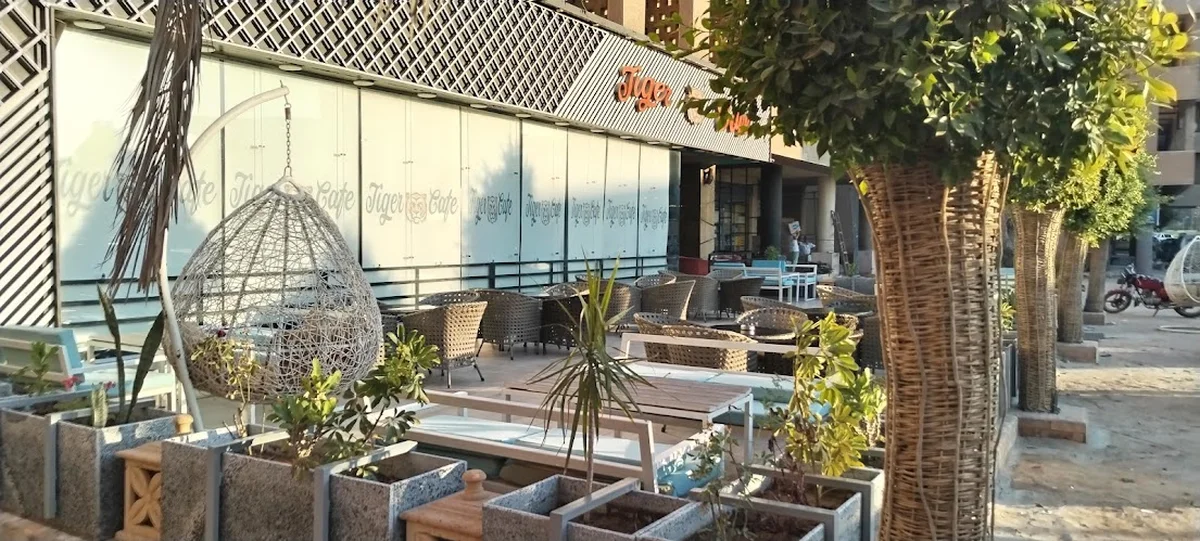 Tiger Cafe - Görsel 5