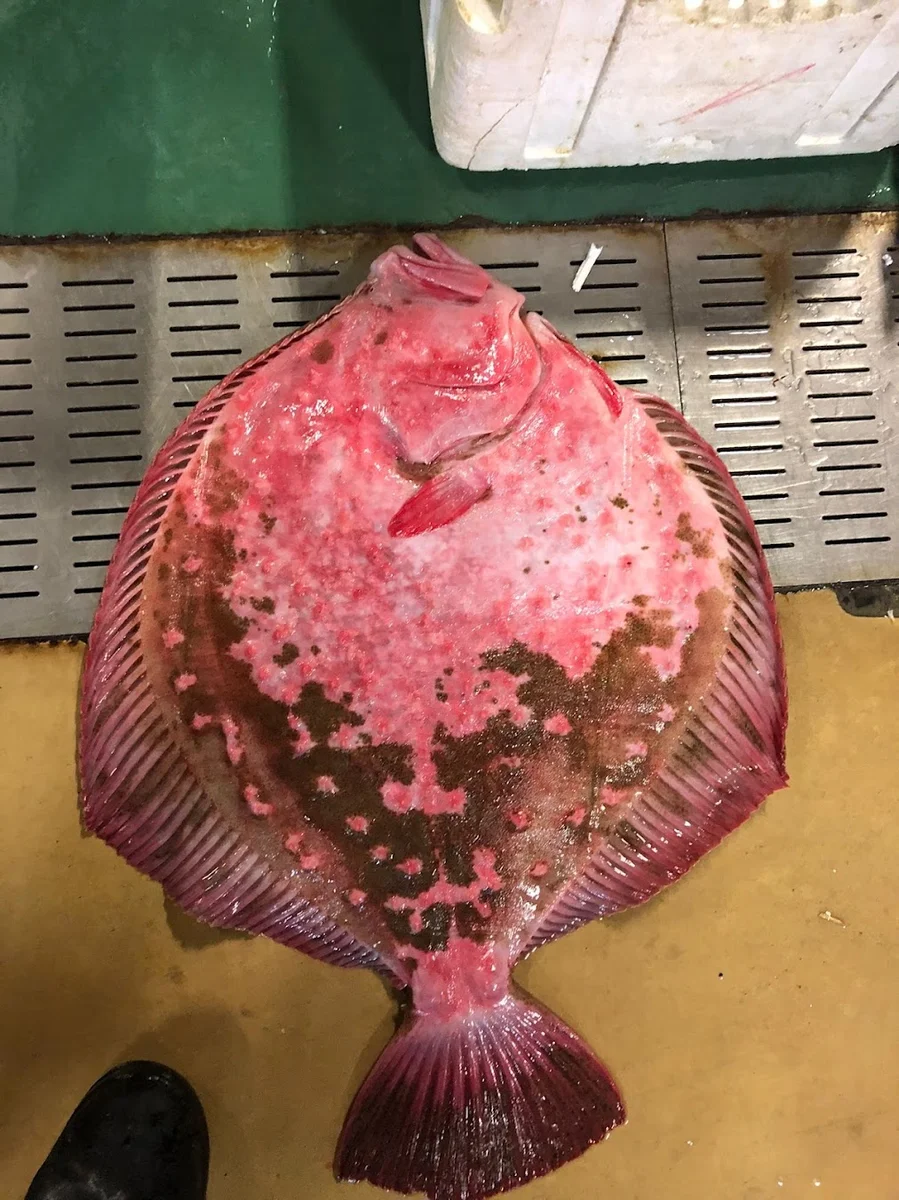 Muhsin Usta Et Lokantasi - Görsel 5