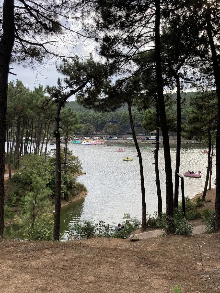 Sancaktepe Belediyesi Gölet Sosyal Tesisleri - Görsel 2