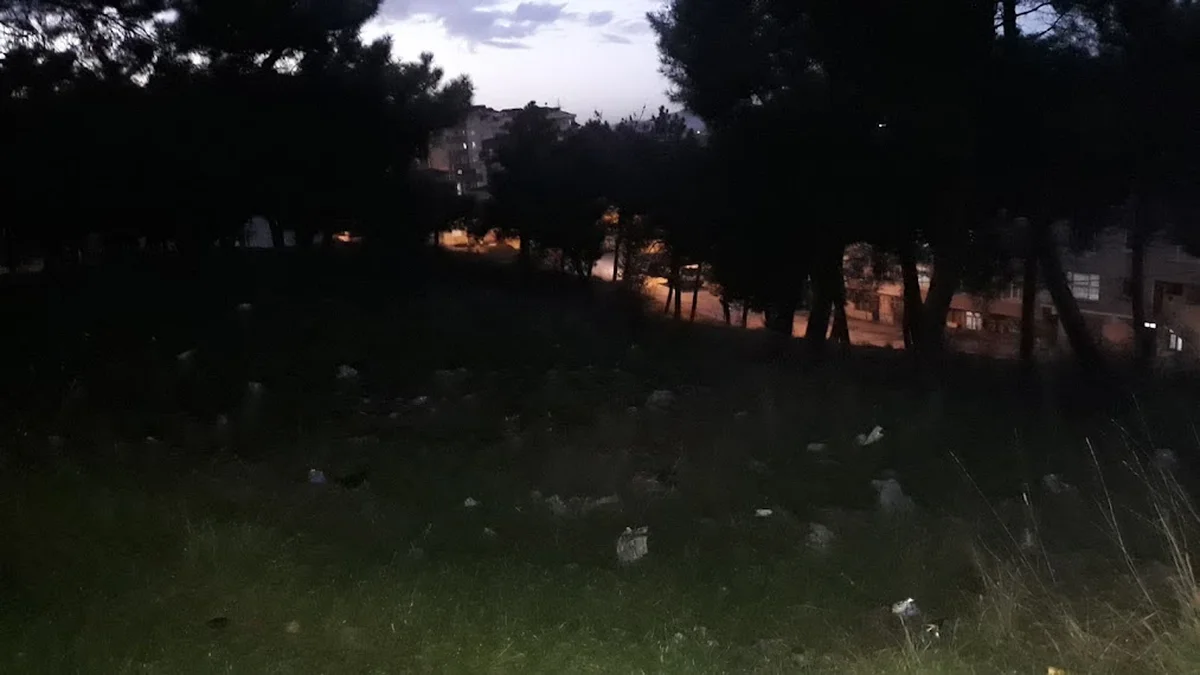 Tunay Usta’nın Yeri - Görsel 5