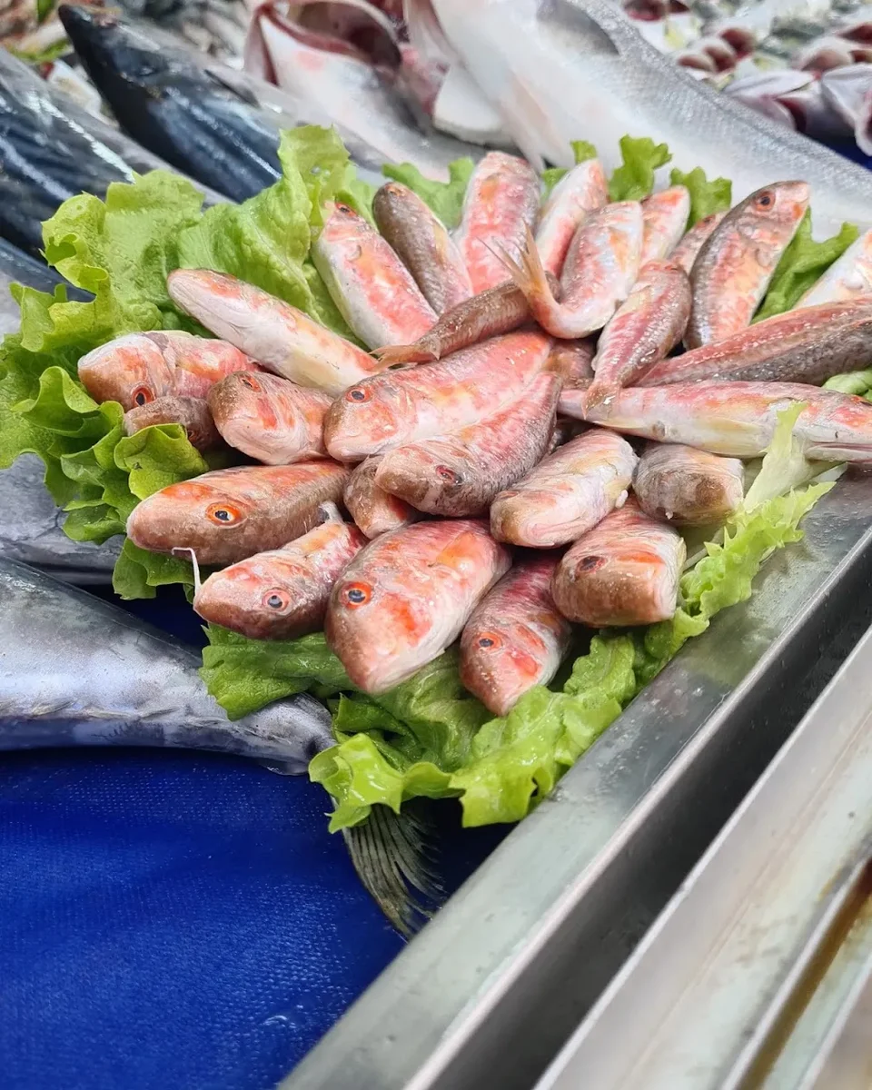 Pelikan balik sancaktepe - Görsel 9