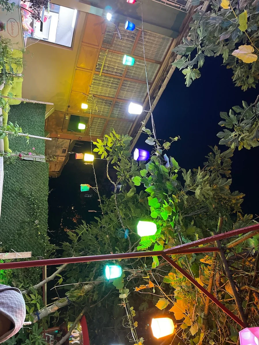 Asil bahçe - Görsel 4