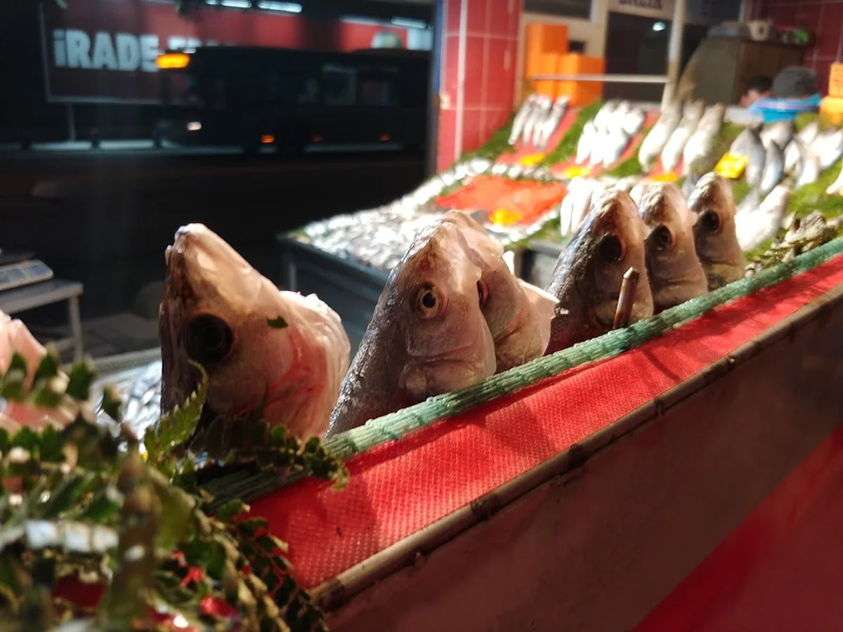 Karadeniz Pide - Görsel 6