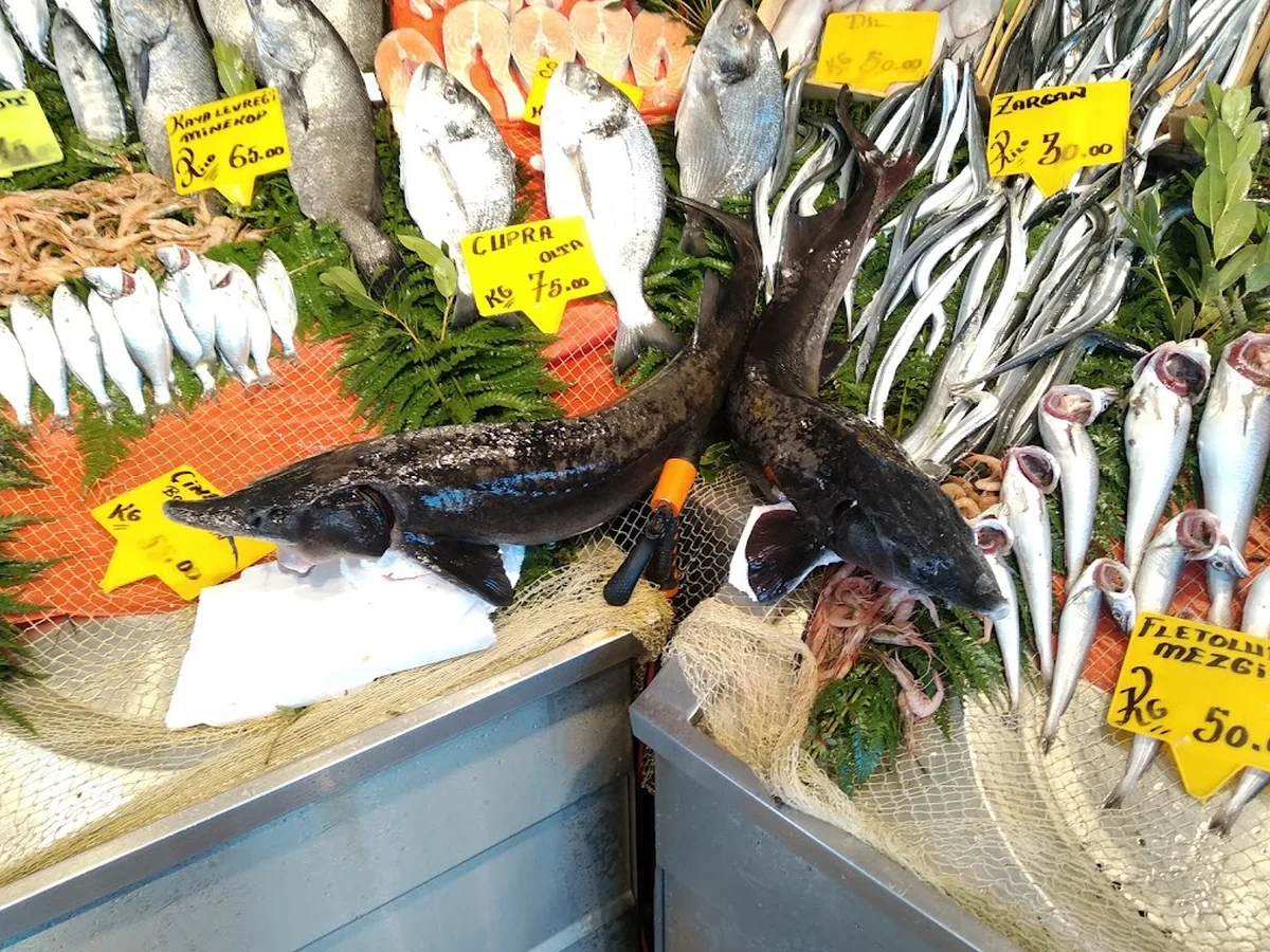 Karadeniz Pide - Görsel 8