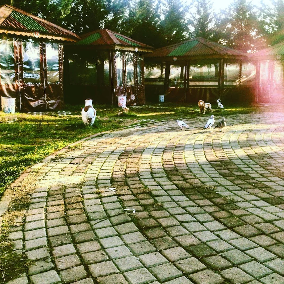 Kılıç Cafe/Restaurant - Görsel 3