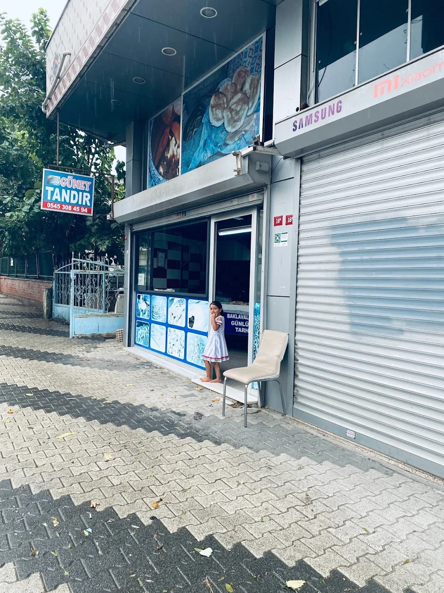 Güney Tandir - Görsel 2