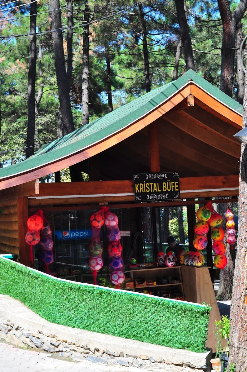 AYDOS ORMAN GÖL KRİSTAL - Görsel 2