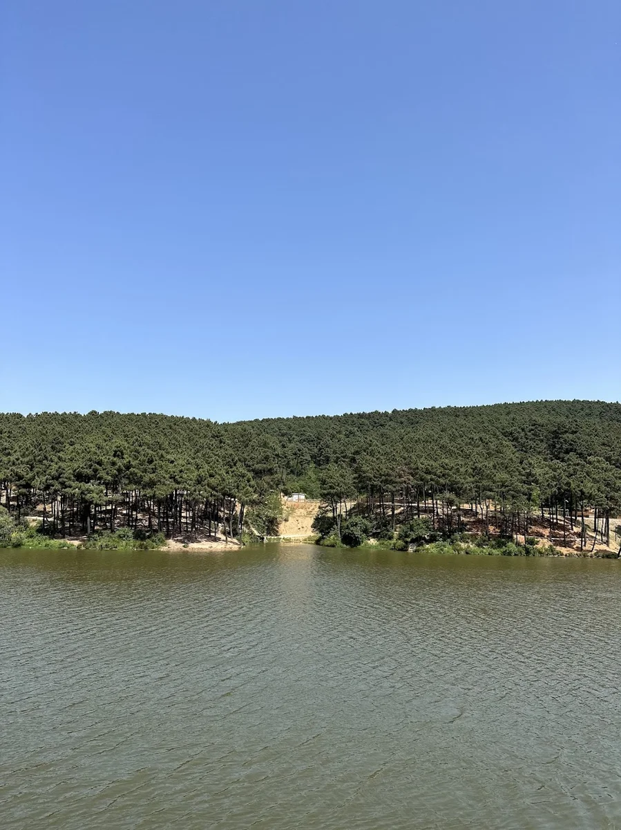 AYDOS ORMAN GÖL KRİSTAL - Görsel 1