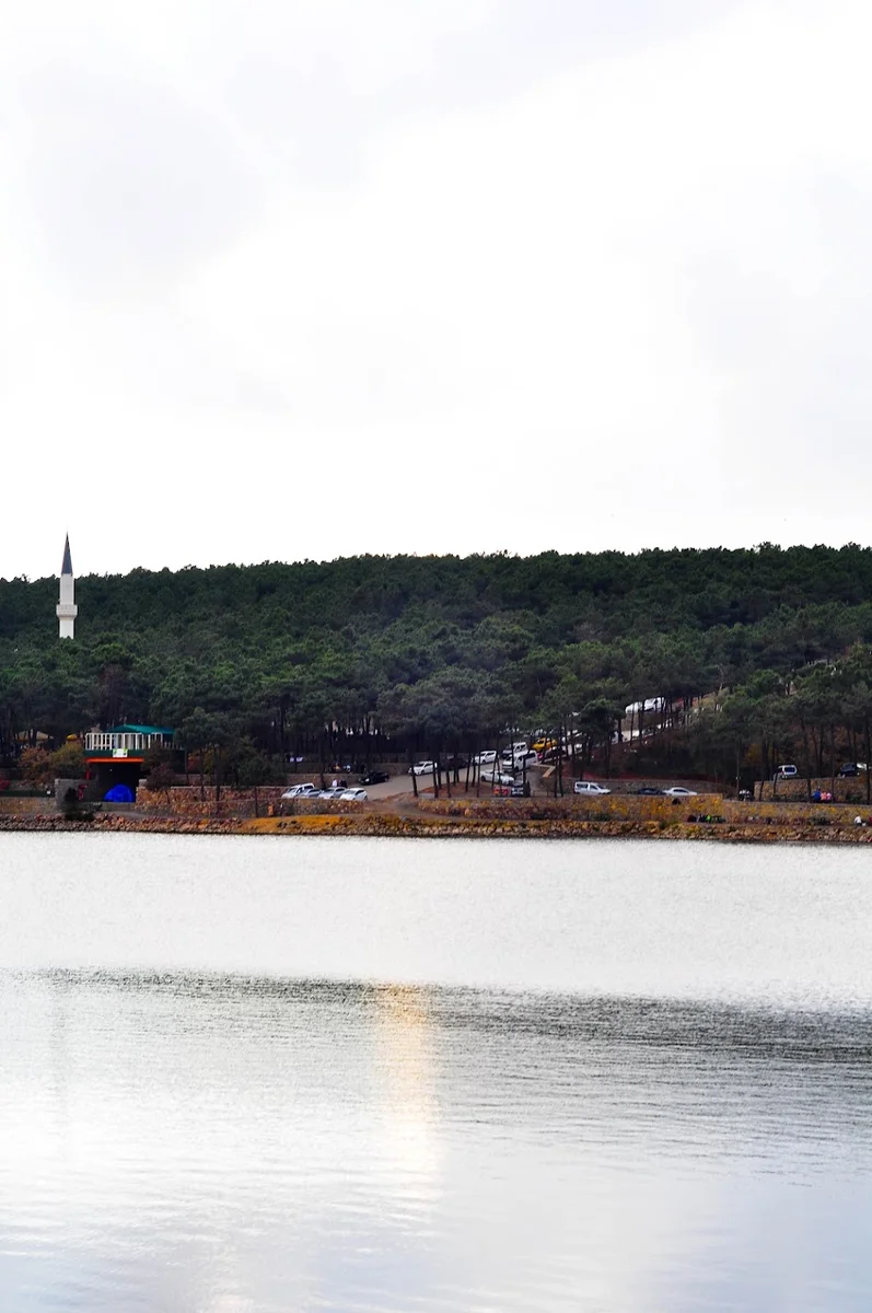 AYDOS ORMAN GÖL KRİSTAL - Görsel 7