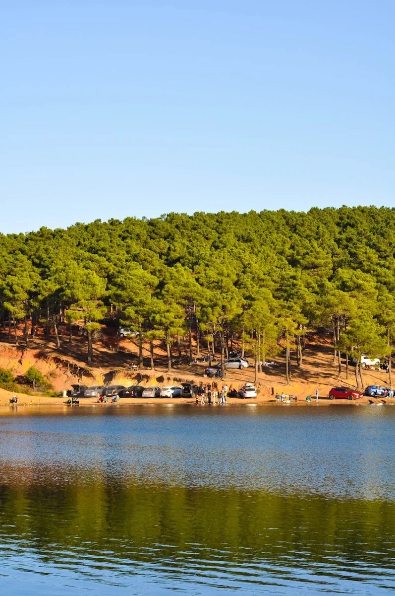 AYDOS ORMAN GÖL KRİSTAL - Görsel 8