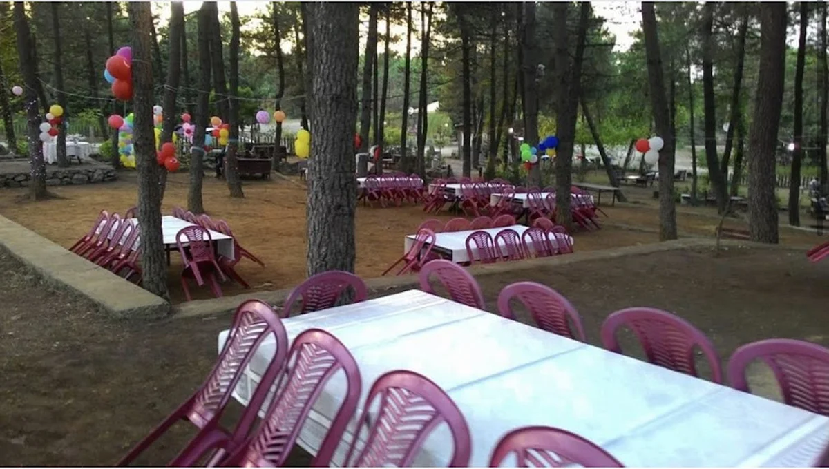 Aydos Orman 34 Kristal Cafe & Restaurant & Piknik Alanı & Atlı Binicilik - Görsel 1