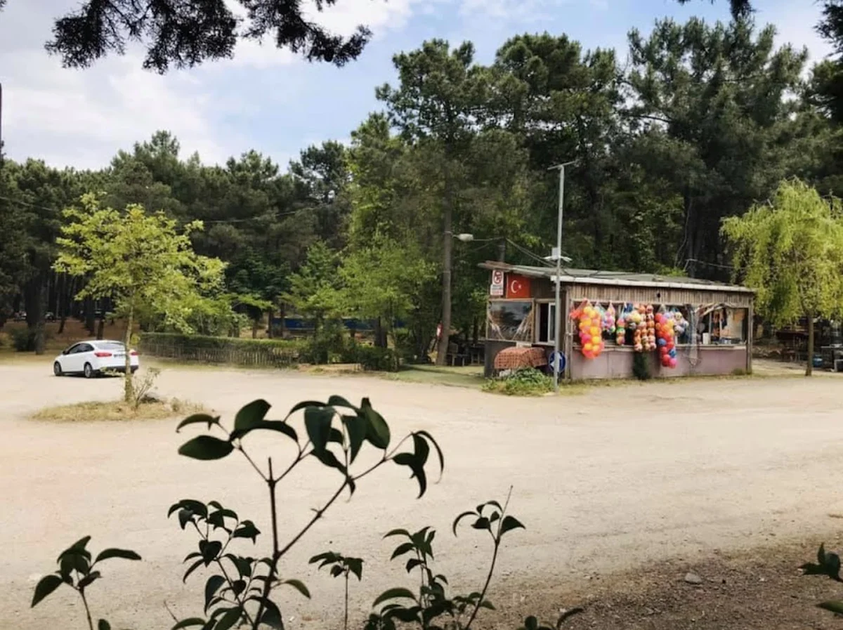 Aydos Orman 34 Kristal Cafe & Restaurant & Piknik Alanı & Atlı Binicilik - Görsel 2