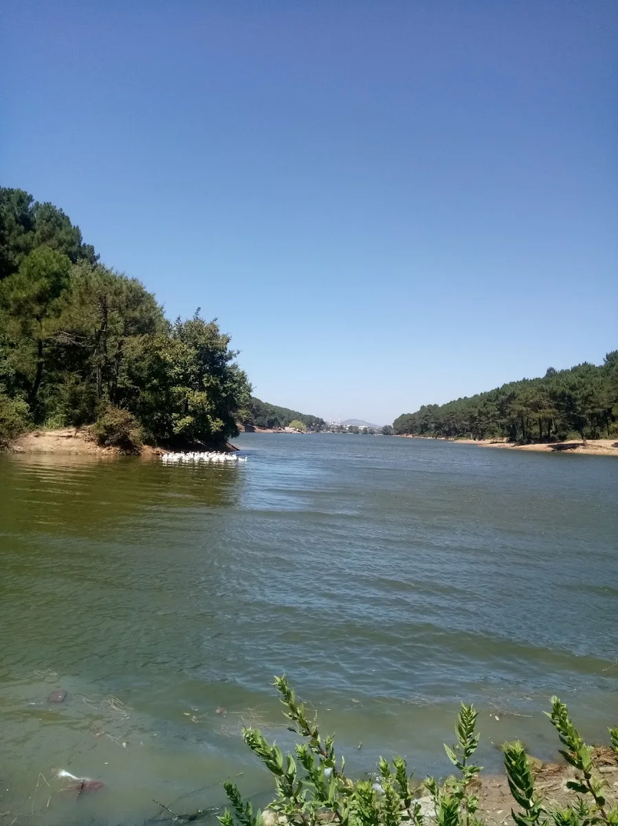 Aydos Orman 34 Kristal Cafe & Restaurant & Piknik Alanı & Atlı Binicilik - Görsel 6