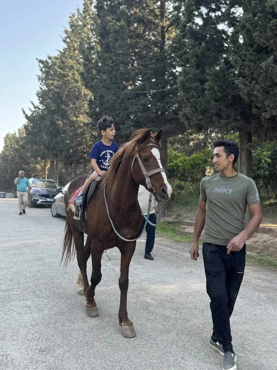 Aydos Orman 34 Kristal Cafe & Restaurant & Piknik Alanı & Atlı Binicilik - Görsel 7