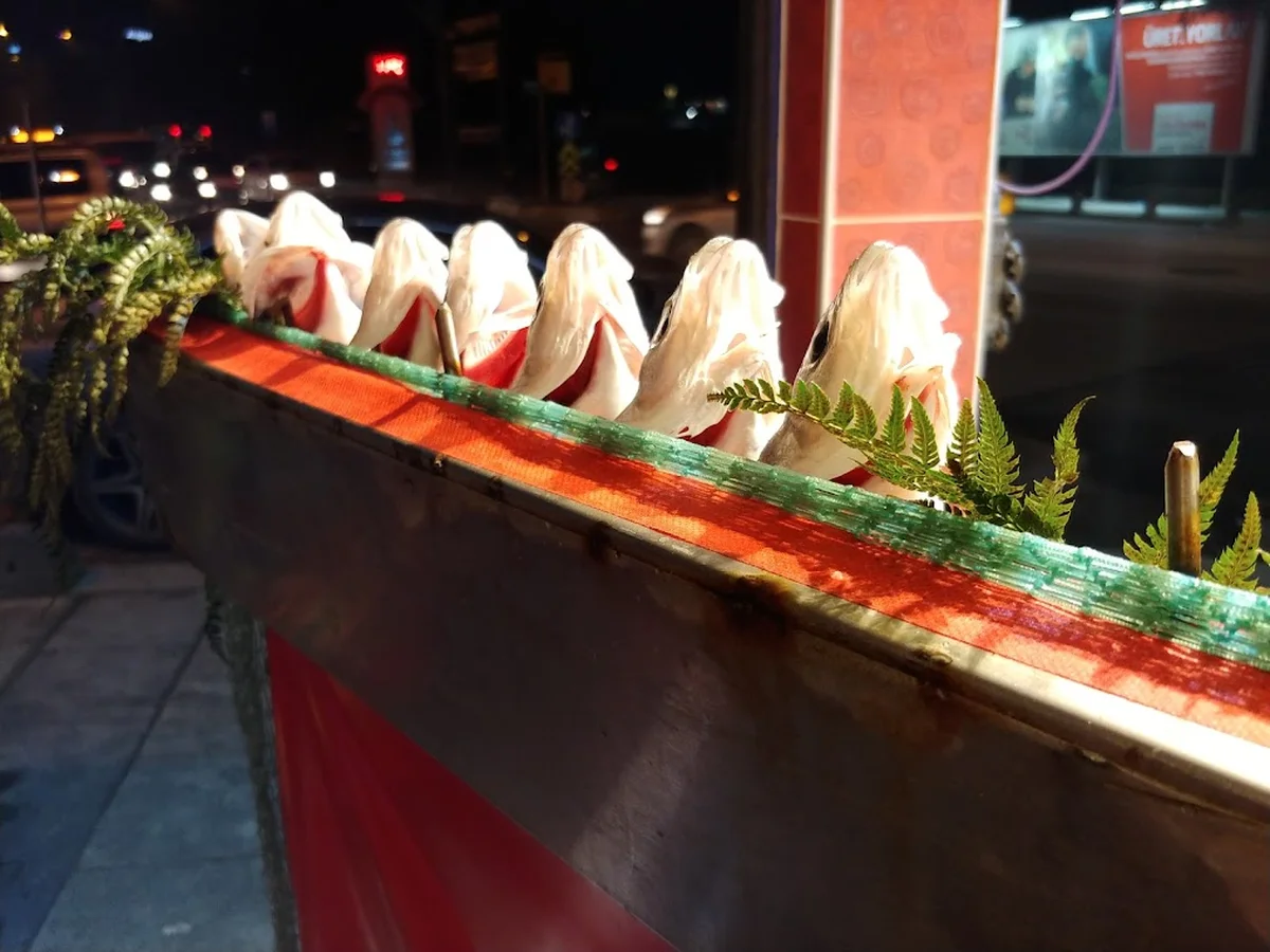 Özsağdıçlar Balık - Görsel 2