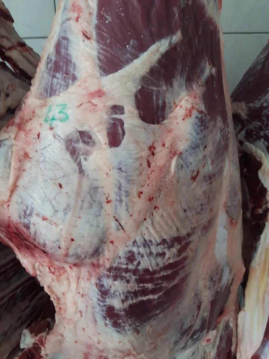 Ünal Çağdaş Kasap Et & Tavuk Şarküteri - Görsel 6