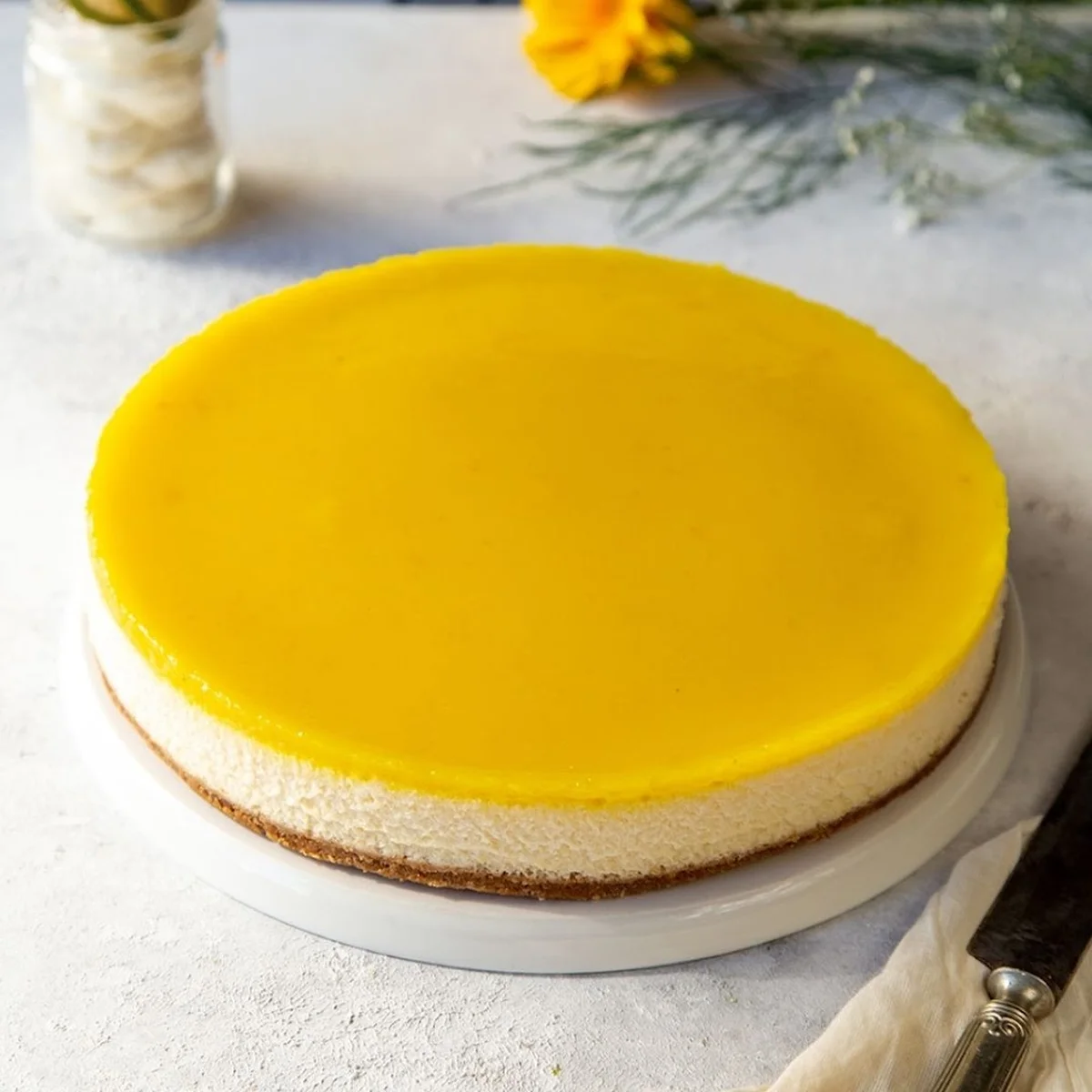 SHARK-I CAFE - Görsel 8