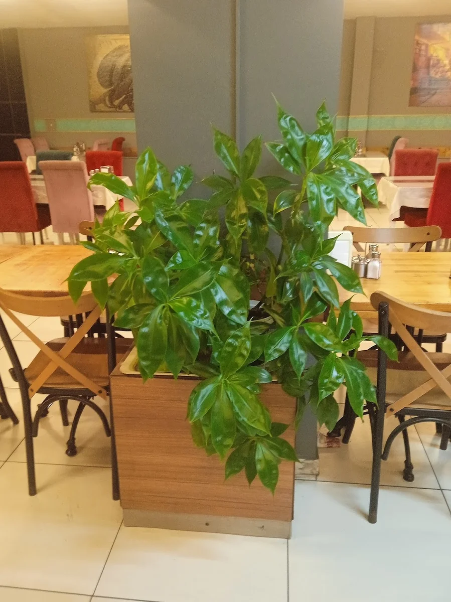 bay çöp adam - Görsel 7