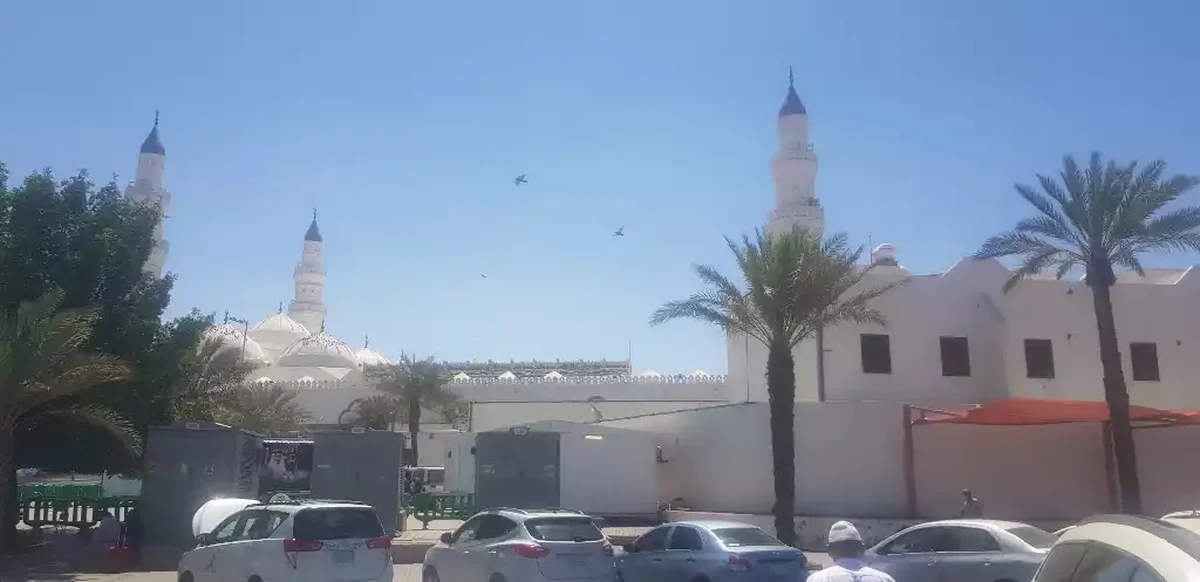 Oses Çiğköfte - Görsel 5