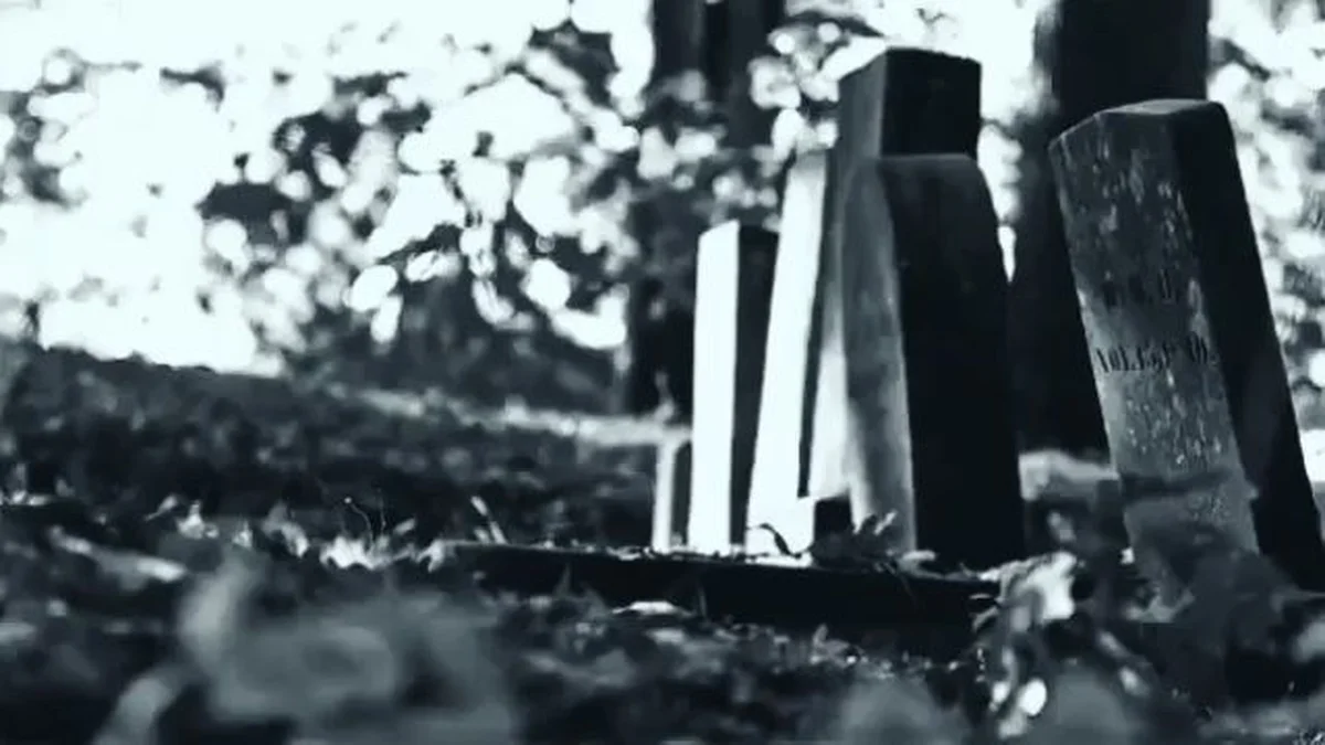 Feccel Tatlısı - Görsel 5