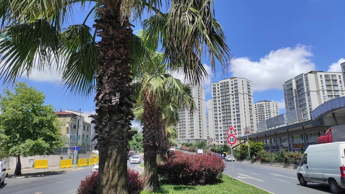 Convert Lounge - Görsel 6