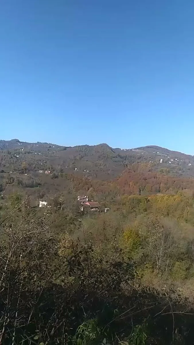 Eylül Cafe Restorant - Görsel 2