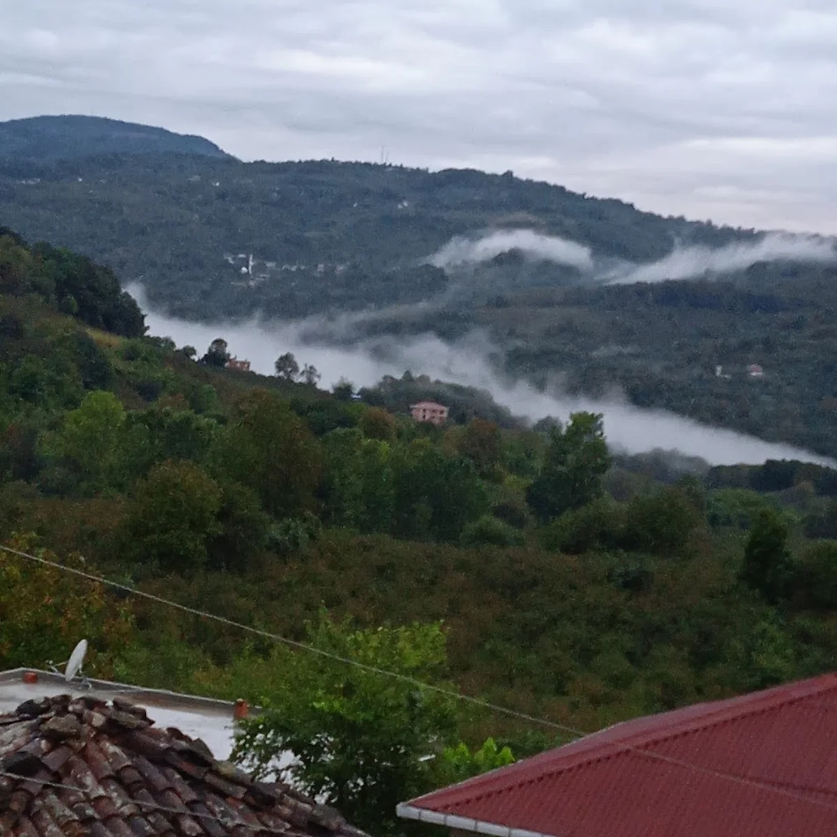 Eylül Cafe Restorant - Görsel 4