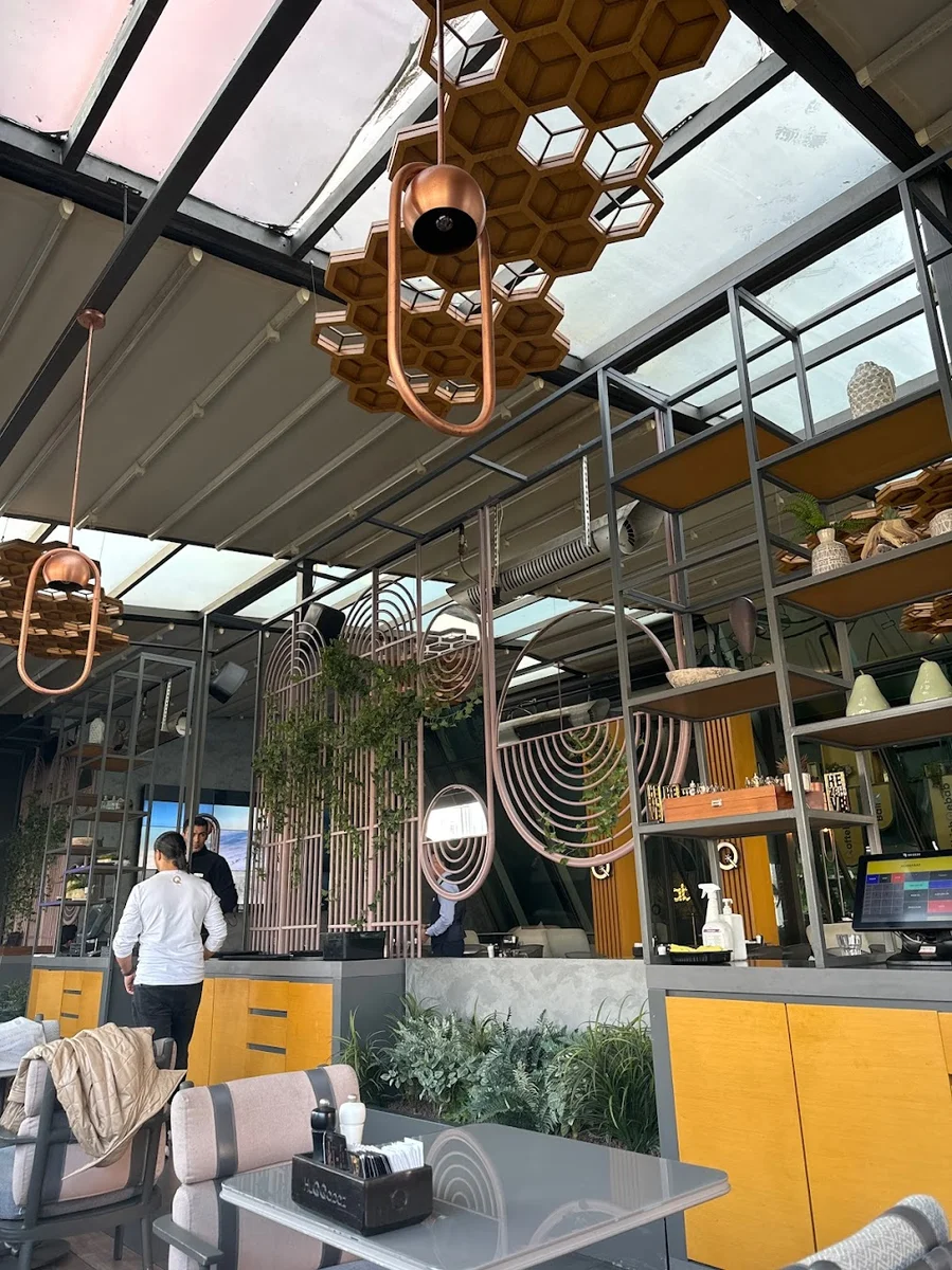 Huqqabaz Sapphire - Görsel 4