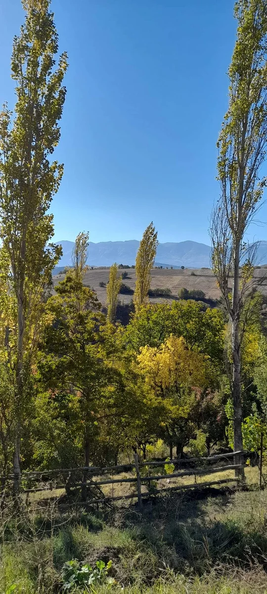 Balkan Catering - Görsel 1