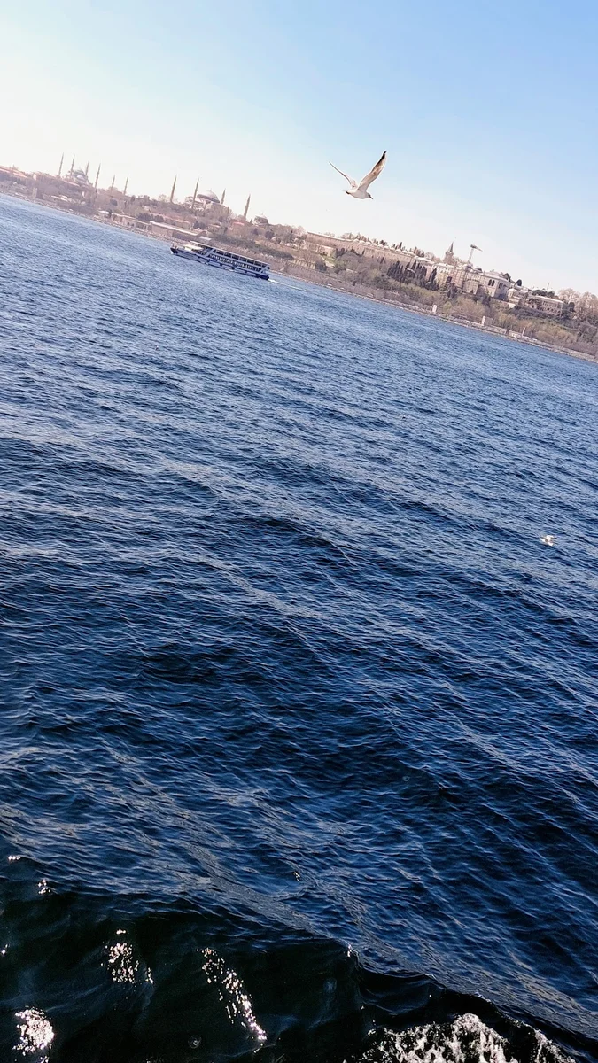 Balkan Catering - Görsel 7