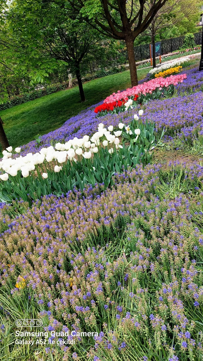 Balkan Catering - Görsel 9