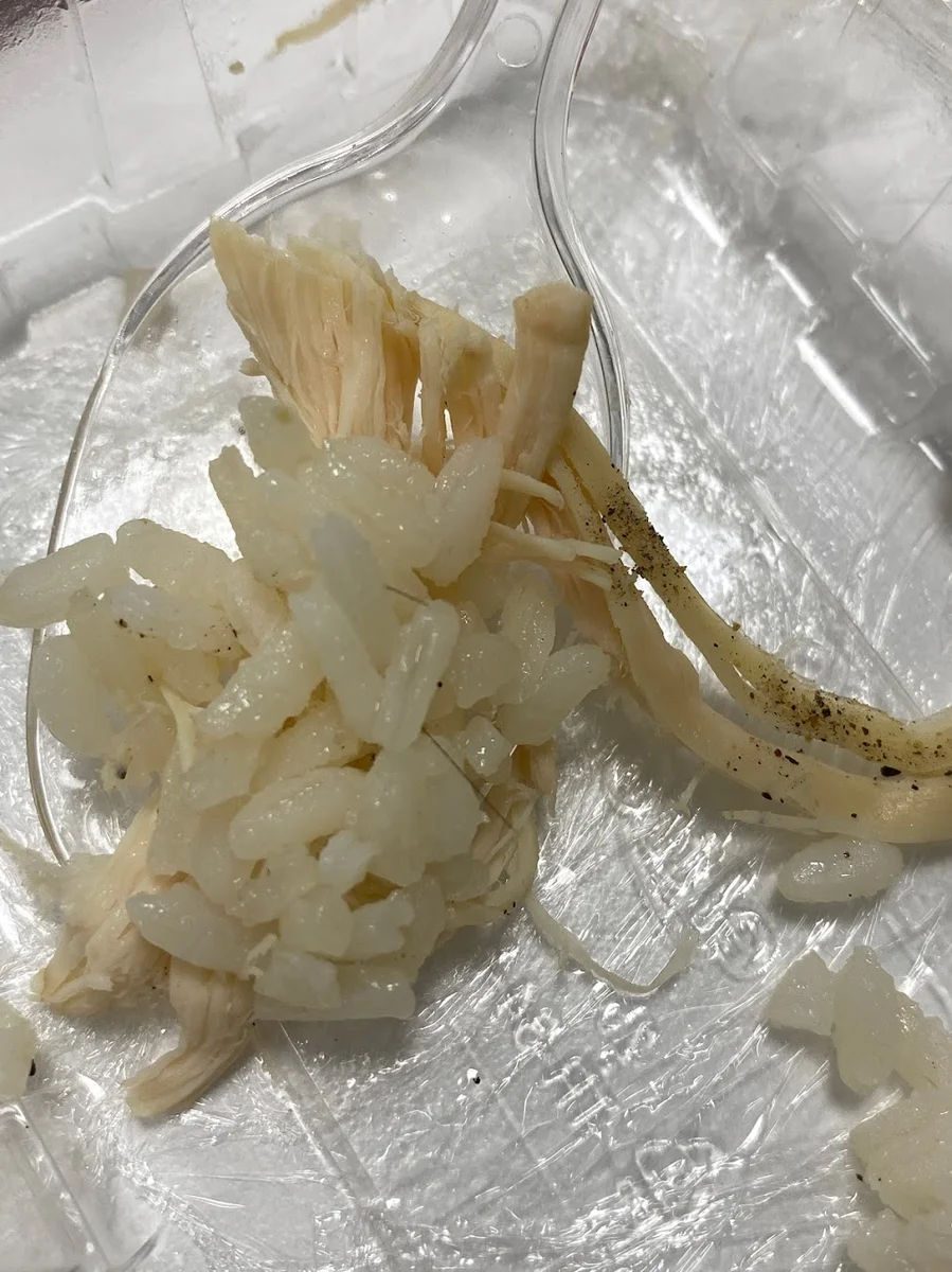 Pilavcı Nuri Usta - Görsel 8