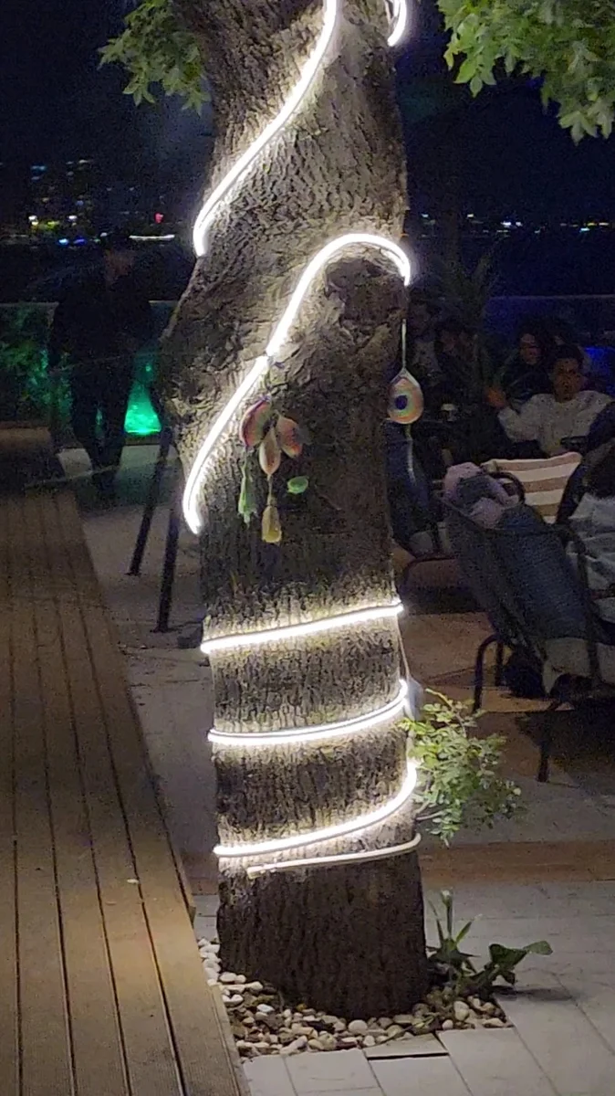 Zez Lounge - Görsel 2