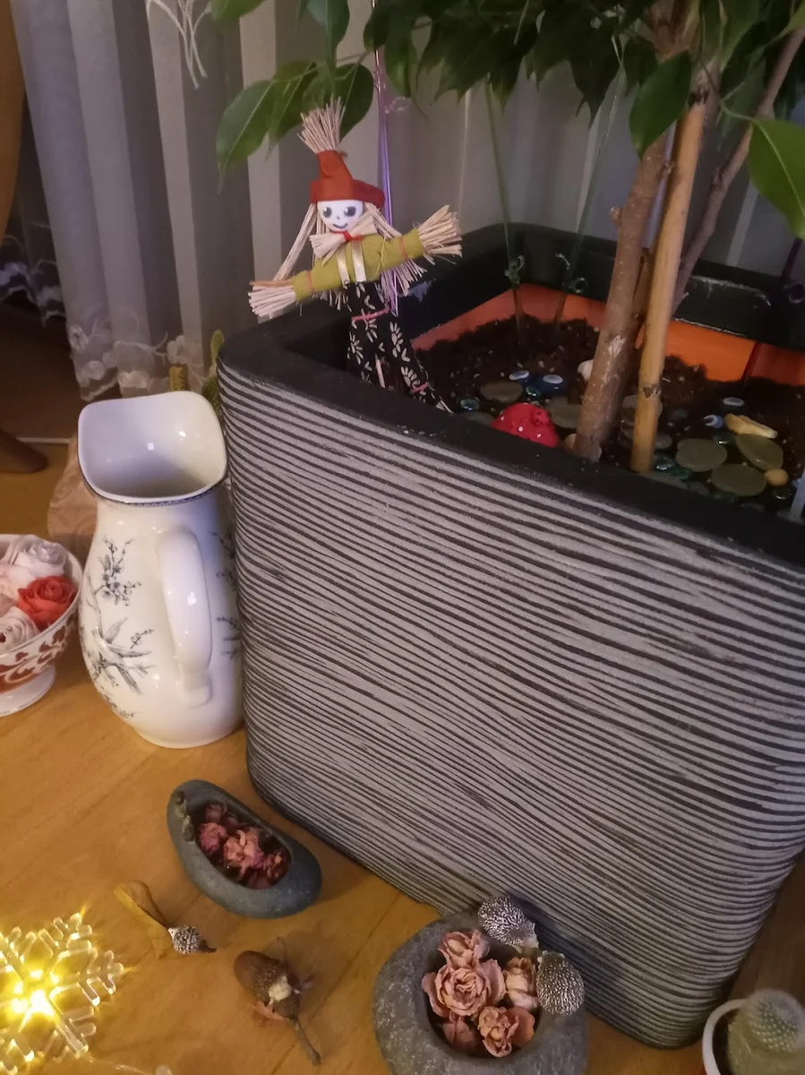 Karden(KARADENİZ) Balık Evi SEFAKÖY - Görsel 7