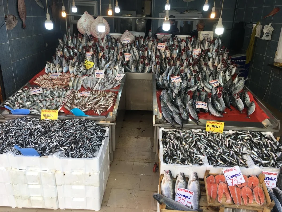 Karden(KARADENİZ) Balık Evi SEFAKÖY - Görsel 9